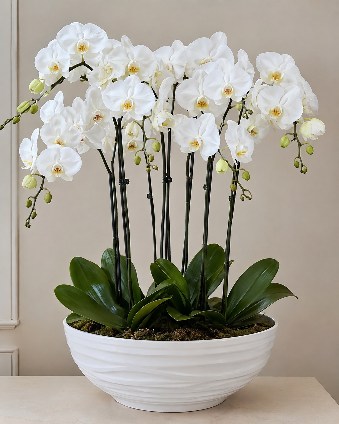 Envio y venta de flores ,rosas, plantas,arreglos florales ,regalos y desayunos a domicilio con delivery gratis en la Ciudad Autonoma de Buenos Aires y con costo de env�o en localidades del Gran Buenos Aires asi como delivery de flores y plantas a trav�s de florerias asociadas en todas las provincias de la Argentina, Buenos Aires, la Pampa, Tucuman, La Rioja, R�o Negro, Entre Rios, Corrientes, Misiones, Neuquen, Chubut, Tierra del Fuego, Santa Cruz, San Luis, Mendoza, Cordoba, Jujuy, Formosa, Santiago del Estero, Salta, Chaco, Catamarca ,San Juan, y ademas realizamos el delivery de flores ,coronas,palmas , plantas y regalos a todas las ciudades de Argentina, Mar del Plata, C�rdoba, Buenos Aires, con cargo en Santa Rosa, La Plata, Bella Vista, Neuquen, Pilar, Paran�, Posadas, Resistencia, Cipolleti y mas de 300 ciudades y localidades en todo el territorio de nuestro pa�s, asi como tambien tenemos la posibilidad de enviar flores a casi todo el mundo en cuestion de horas